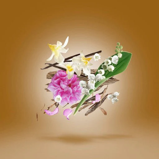 Miniature 4