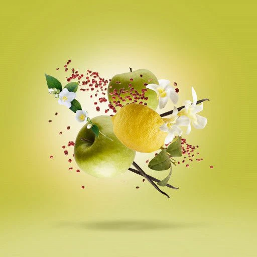 Miniature 4