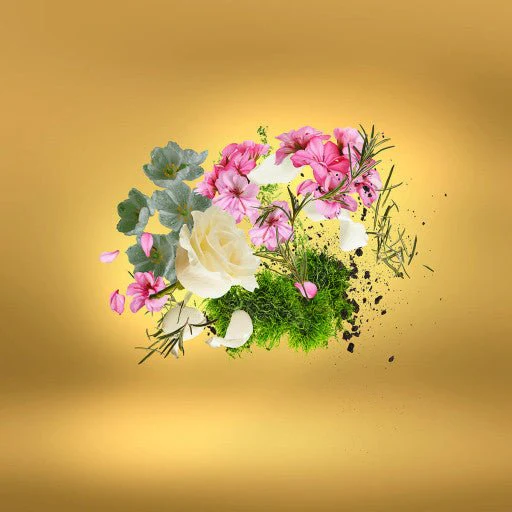 Miniature 5