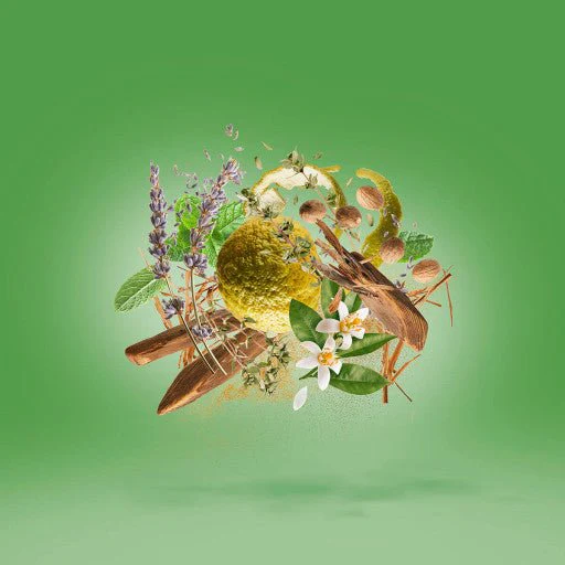 Miniature 6