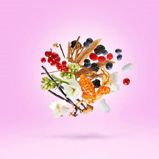 Miniature 5