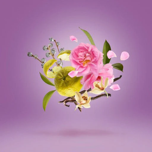 Miniature 4