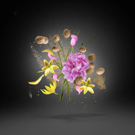 Miniature 3