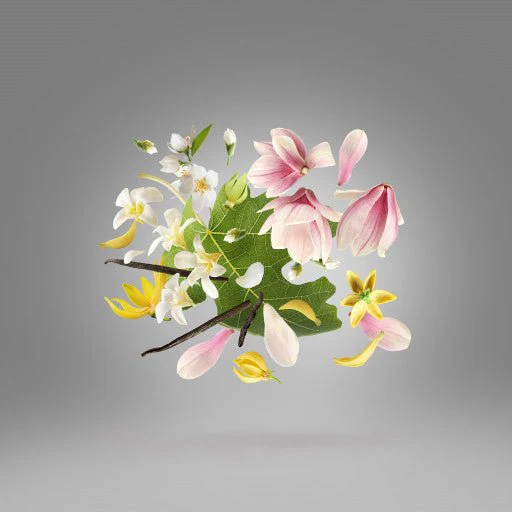 Miniature 3