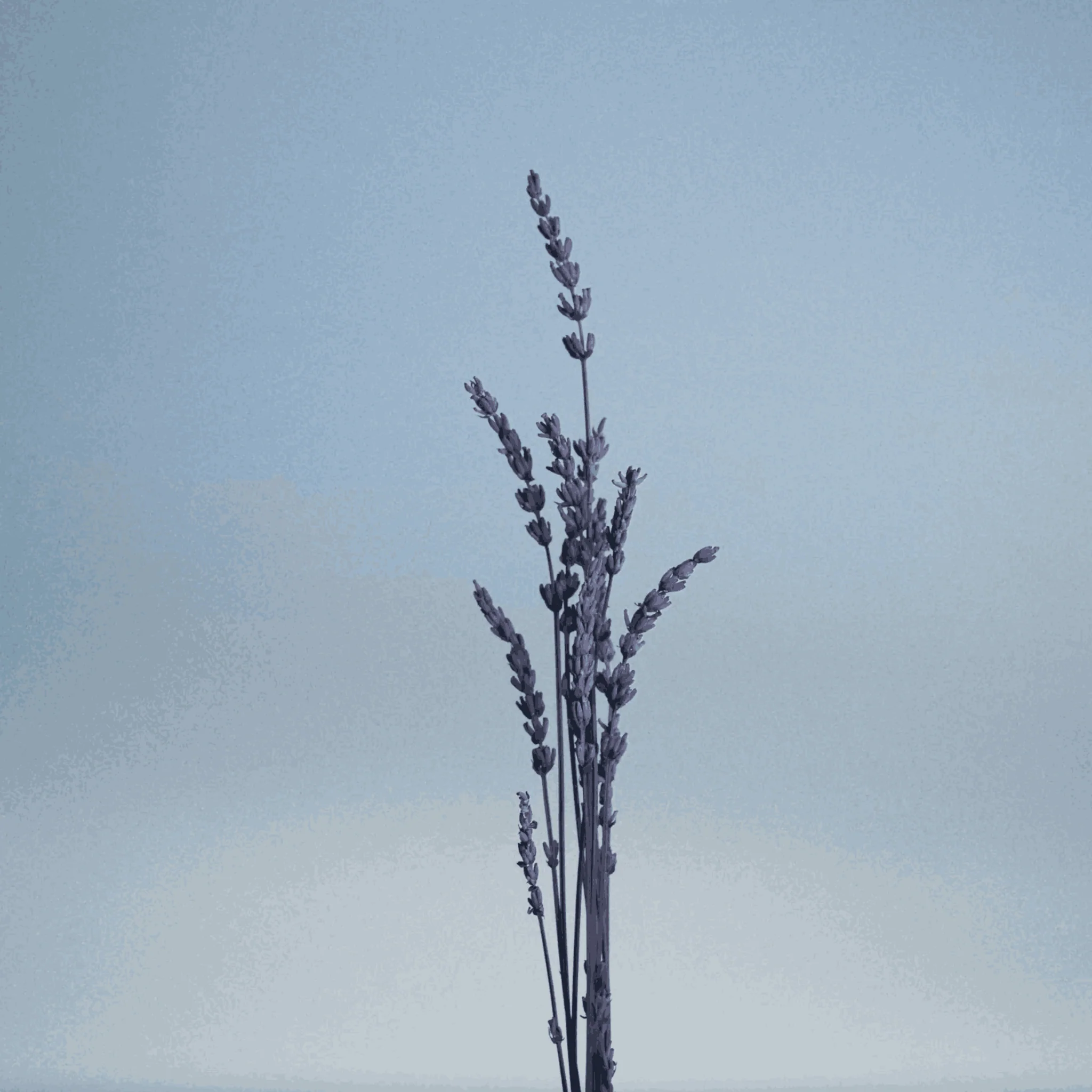 Miniature 3
