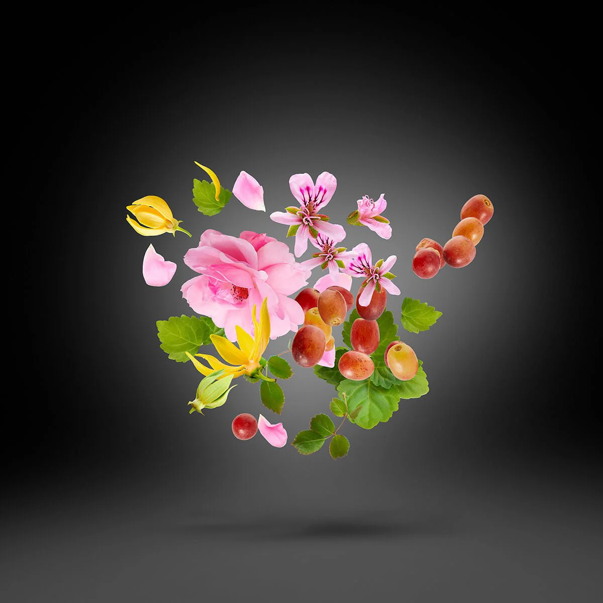 Miniature 4