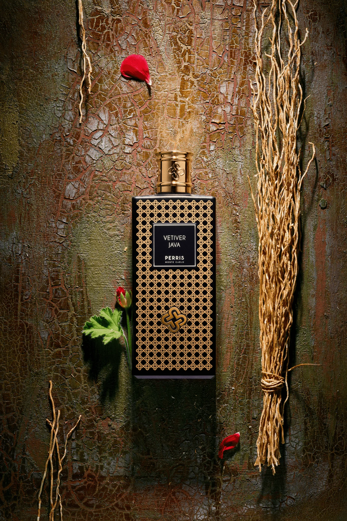 Miniature 4