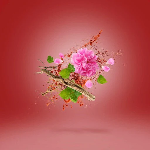 Miniature 3